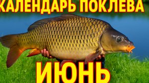 Календарь клева на ИЮНЬ 2025 Прогноз клева рыбы Лунный Календарь рыбака 2025!