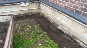 Не знаю, что будет с отпуском 🤷 Ко мне щенки пристают 🐕🐩