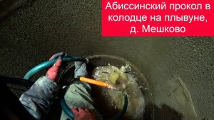 Абиссинский прокол в колодце на плывуне, д. Мешково