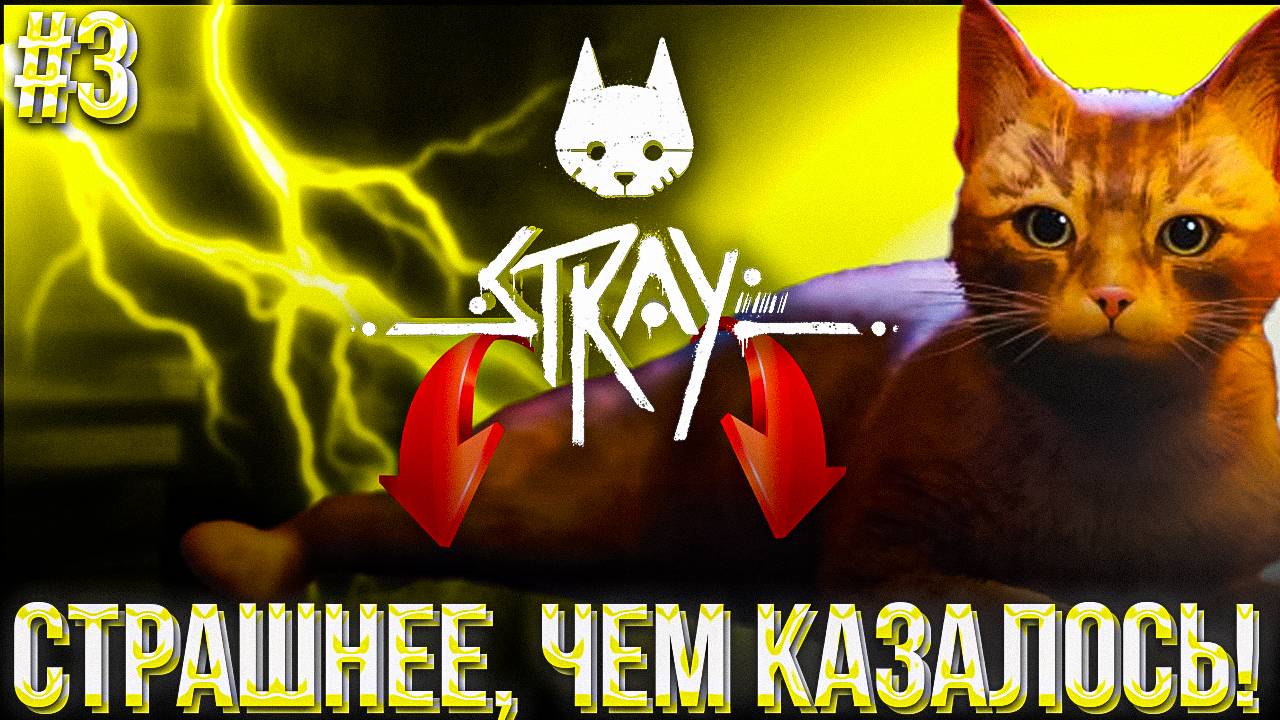 #3 STRAY | ОПАСНЫЙ ПОБЕГ | ЗУБАСТЫЕ ТВАРИ