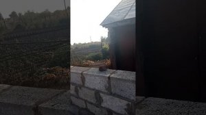 первое лето нашей стройки