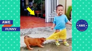 Смешное и веселое видео о жизни людей # старайтесь не смеяться над смешными видео 2023
