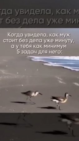 Юмор