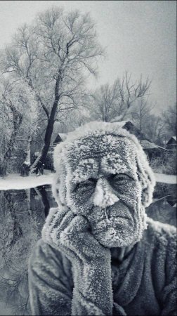 коту вкайф сияет весь как том...