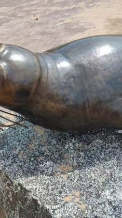 Скульптура Нерпа на пляже 'Дюны' в Сестрорецке