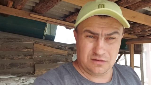 Испортил рассаду. Что делать с помидорами??? смотреть онлайн