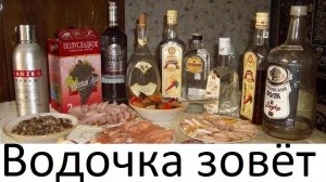Новая песня "Водочка зовёт"