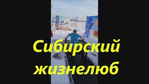 Сибирский жизнелюб