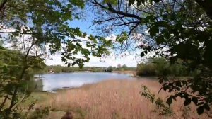 1137, 16.05.2021, два пруда в Касьяновке, Орловский район, Неполодское сельское поселение, деревня,