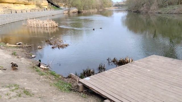 17.04.2025 г Орел/ Дворянское гнездо/ Набережная реки Оки/ П смотреть онлайн