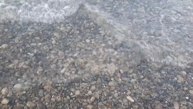 Боденское озеро! 🌊#бодензее #германия #боденскоеозер? смотреть онлайн