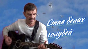 Стая белых голубей_