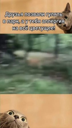 😊😊😊