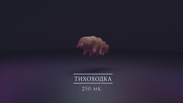 БОЛЬШОЕ И МАЛЕНЬКОЕ