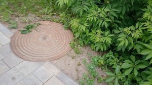 Прогулка по Суздалю