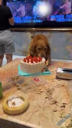 И У МЕНЯ ПРАЗДНИК )))) !!!!!!!!!