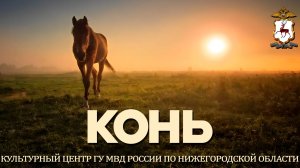 Нижегородская полиция - Конь