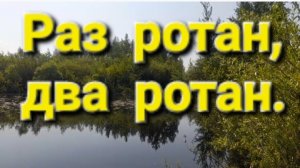 Раз ротан, два ротан.
