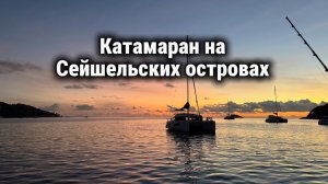 Аренда катамарана на Сейшельских островах