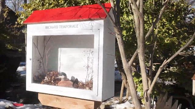 Исследуем остров Wards Island в Торонто 🏝️🇨🇦