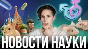 Либидо мышей зашкаливает, корица опасна, а зайцы захватили города — Новости науки  #3