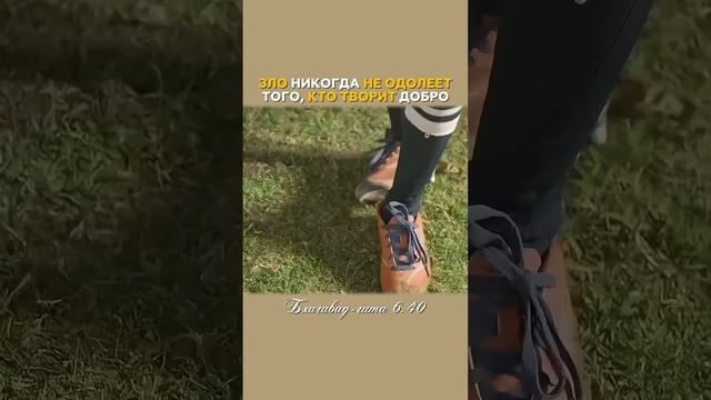 Добро