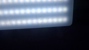 Пассажирский лифт V=1 м-с, Q=400 кг (4928)