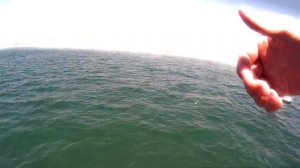 Флайборд | Flyboard | FlySurf | FlyJets | FlyXpert | JWB