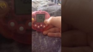 как сделать питомца в тамагочи😘 мой виртуальный пито