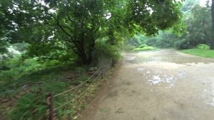 Аптекарский огород в дождь !