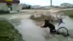 Самые смешные падения с велосипеда