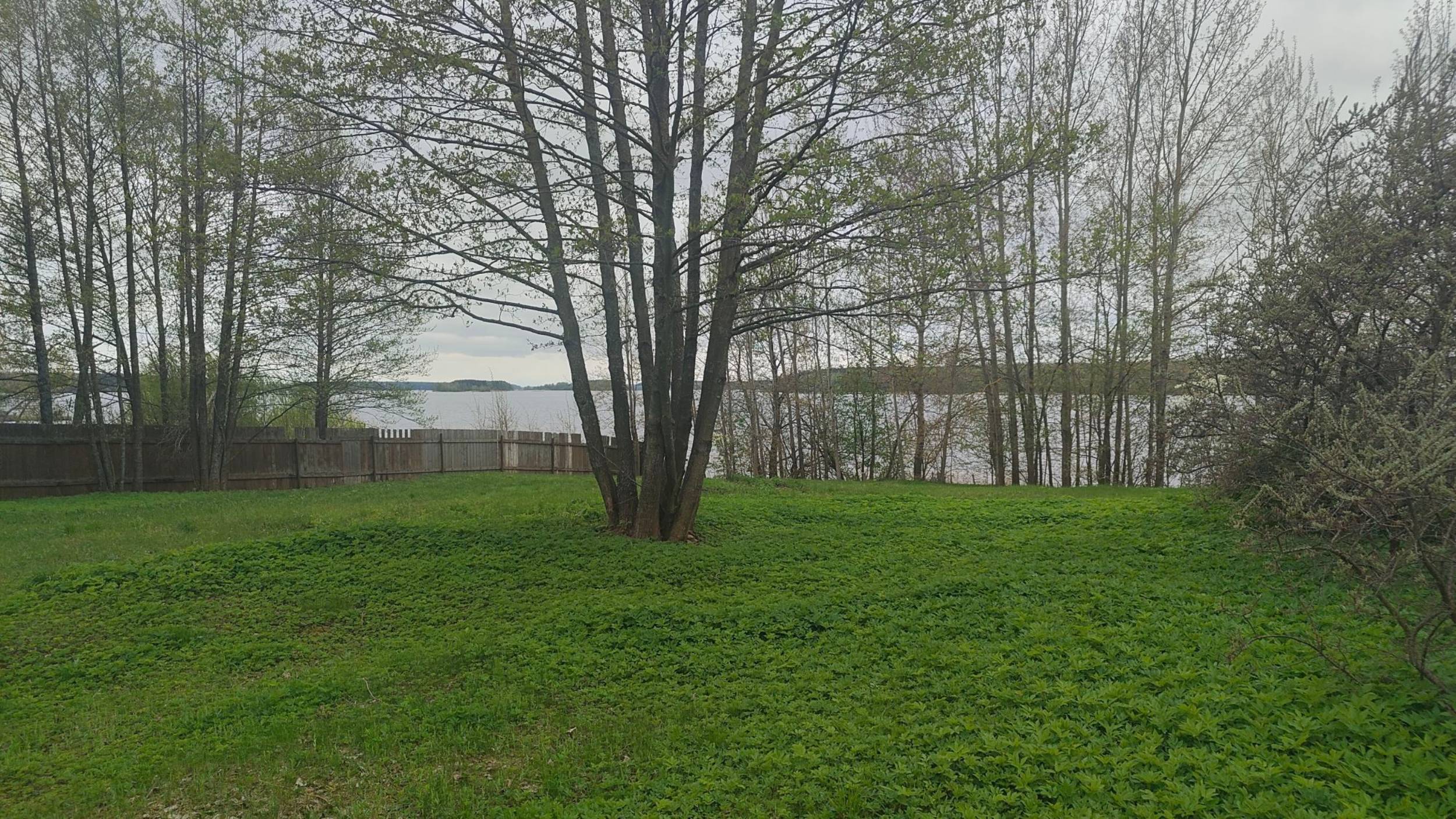 🏡 Последний участок с выходом на Волгу в Конаково - Свой пляж, слип и пирс – 120 км от Москвы!