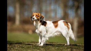 Коикерхондье