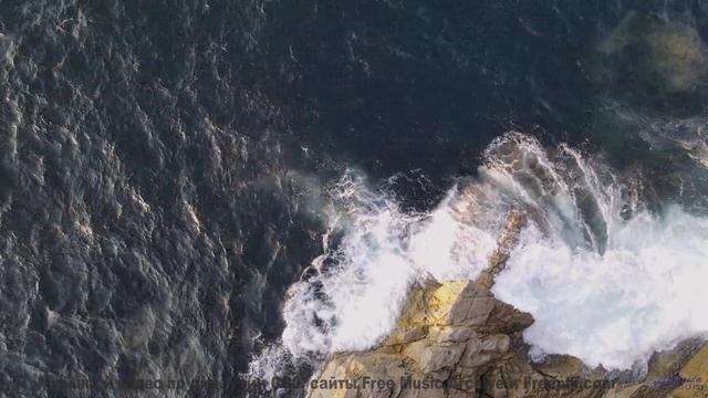 Звуки, программирующие ДНК - научный прорыв или опасность - Dog Days -- HoliznaPATREON -- Summer Ser