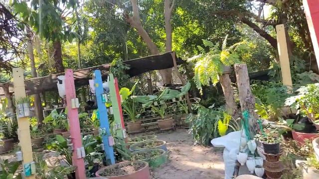 Cabbages и Condoms. Капуста и презервативы  что это?А птицы и п? смотреть онлайн