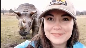 ИИ-генератор видео Veo 3 от Google поражает — он генерирует видео в 4К