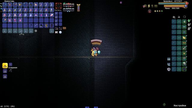 НЕСКОНЧАЕМАЯ ПУСТОТА БЕЗ ПОЛУЧЕНИЯ УРОНА В CALAMITY INFERNUM ? смотреть онлайн