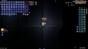 НЕСКОНЧАЕМАЯ ПУСТОТА БЕЗ ПОЛУЧЕНИЯ УРОНА В CALAMITY INFERNUM ?