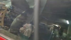 Что делать, если сигнализация отключила бензонасос