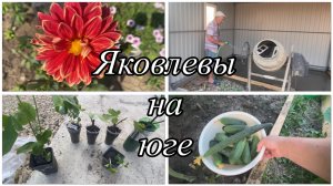 591ч🏡11.06.25-Заливаем пол в сарае//Посылка от подписчицы ❤️Покупки #Ивановская