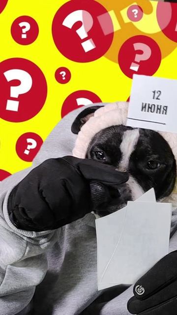 Угадай праздник России — веселый челлендж! 🐶🇷🇺 #стаффи #12июня #праздник #деньроссии #игра