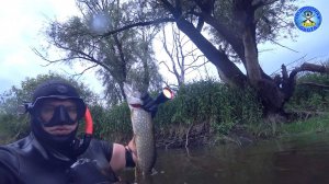 ДЕАФ ПОДВОДНАЯ ОХОТА РЕКА РЕВНА 12.06.2025