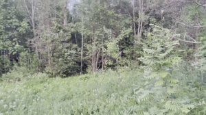 Продется редкий участок на границе с лесом.
Уютное, ухоженное, дружное садоводство!