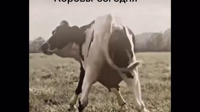 26 декабря 2024 г. смотреть онлайн