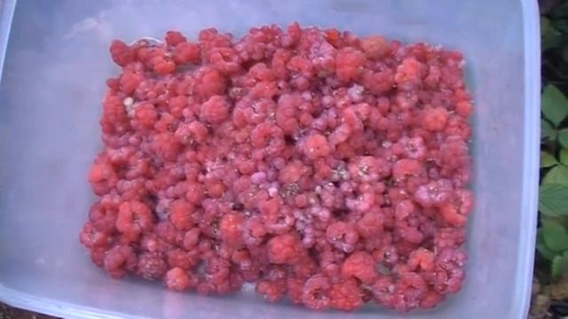 #Малина #ноябрь смотреть онлайн