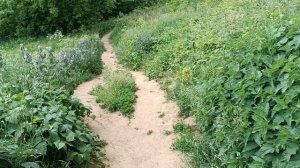 Крутой спуск в Сходненскую чашу. МСК