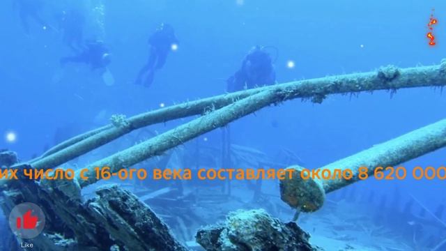 У берегов Португалии нашли около 250 затонувших корабл смотреть онлайн