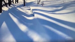 ЗИМА 2025 ГОДА.