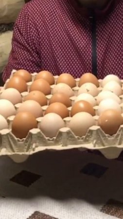 Яйцеварка быстрого приготовления.
