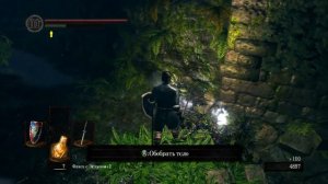 DARK SOULS прохождение №14 Лес темных корней где найти кост